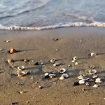 In 27926 Apartment Bibione
