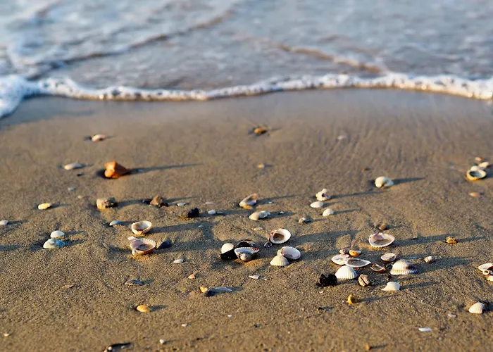 In 27926 Daire Bibione