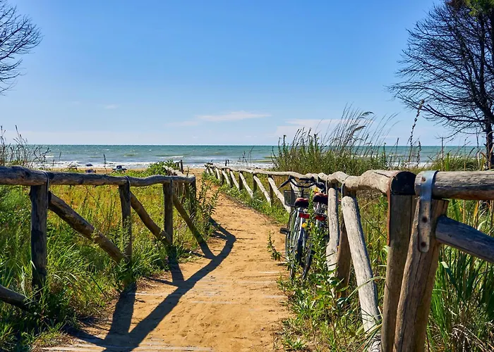 In 27926 Daire Bibione